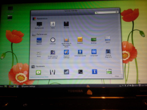 Linux Mint 15 Phone
