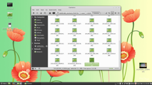 Linux Mint 15